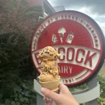 For 72 years, students, alumni and locals have praised Babcock Dairy ice cream as the best