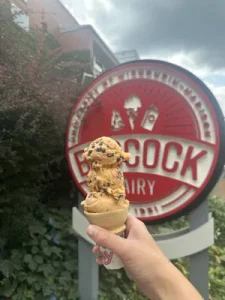 For 72 years, students, alumni and locals have praised Babcock Dairy ice cream as the best