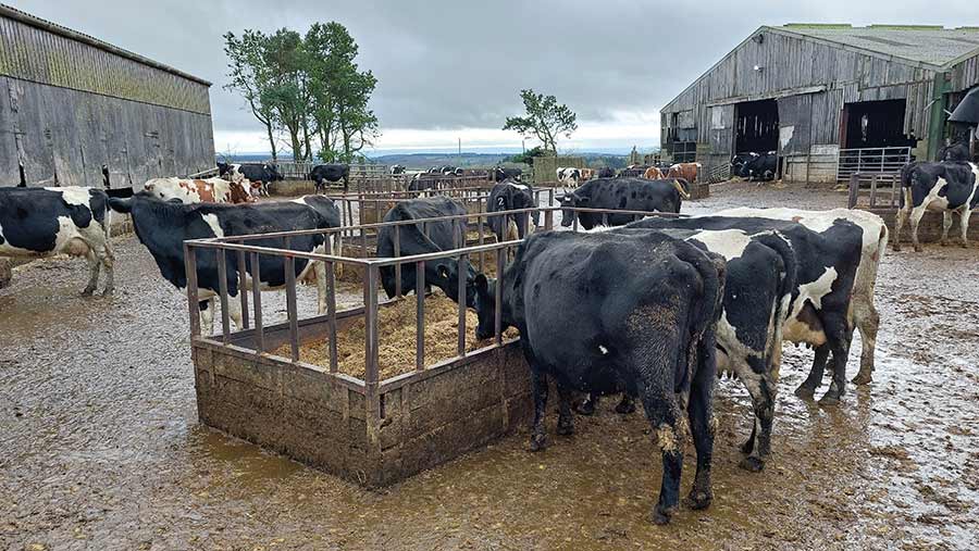 How a 420-cow Yorkshire dairy manages at high altitude