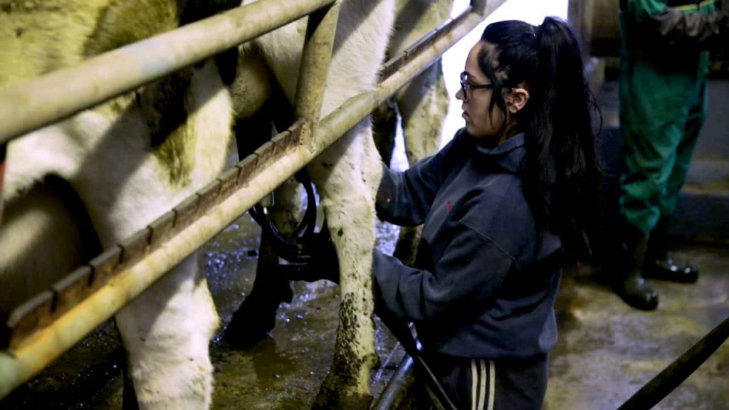 Making dairy farms an easier place to work