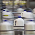 Milk Wars New Zealand’s Milk Collection Skirmishes