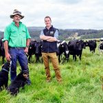 Tasmanian Farmers' Confidence Dips Amid Rising Commodity Prices