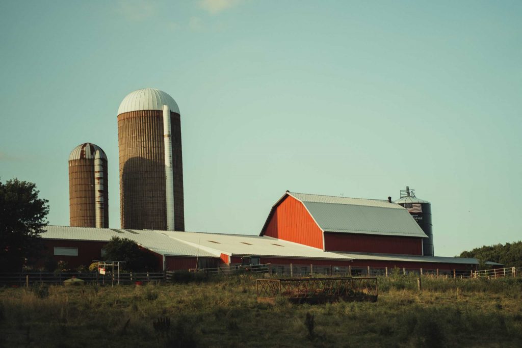 The Human Cost Of Wisconsin’s Dairy Industry