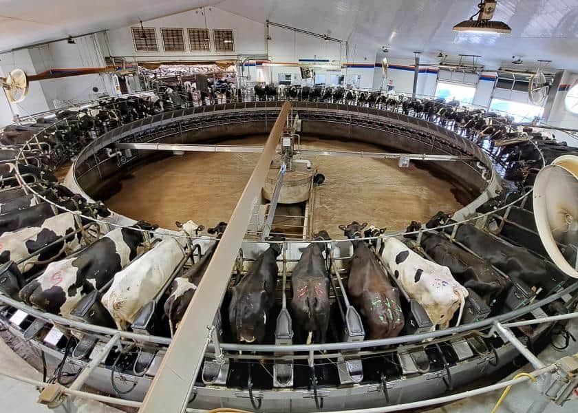 U.S. Milk Production Report Illustrates 44,000 Fewer Cows Year-Over-Year
