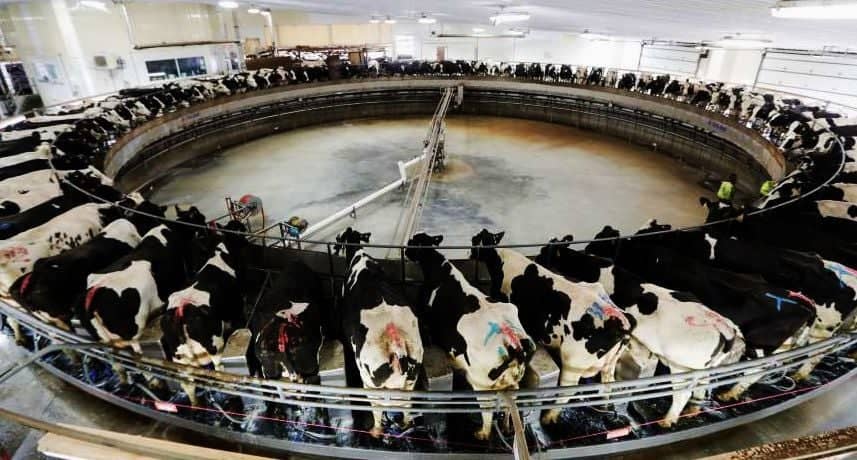 Wisconsin bucks national drop in milk production
