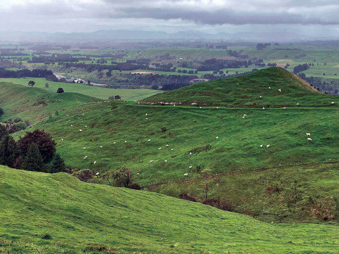 A visit to New Zealand’s South Island