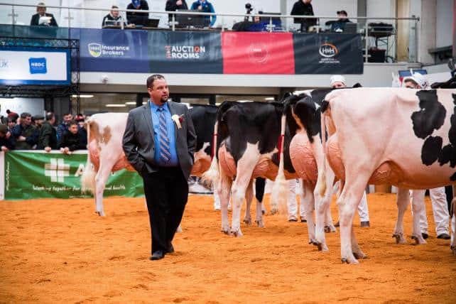 Judge Nathan Thomas takes his final walk drown this Holstein line up Ref:RH110323083 Rob Haining / The Scottish Farmer