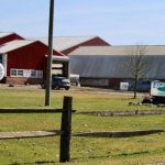 Cattaraugus County dairy farm plans $32.5 million in new facilities