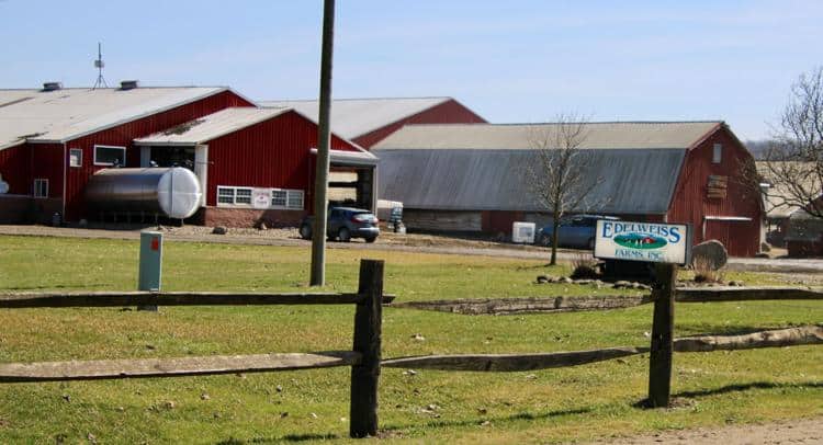 Cattaraugus County dairy farm plans $32.5 million in new facilities