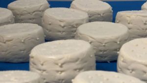 Cheesemaker's dream' as Snowdrop wins top award