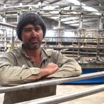 Dairy advocate says farmers must present a united front