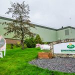 Dairy co-op Arla Foods announces plans to become major UK exporter of mozzarella