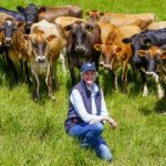 Dairy fund on track for 12pc return after buying Tassie farm