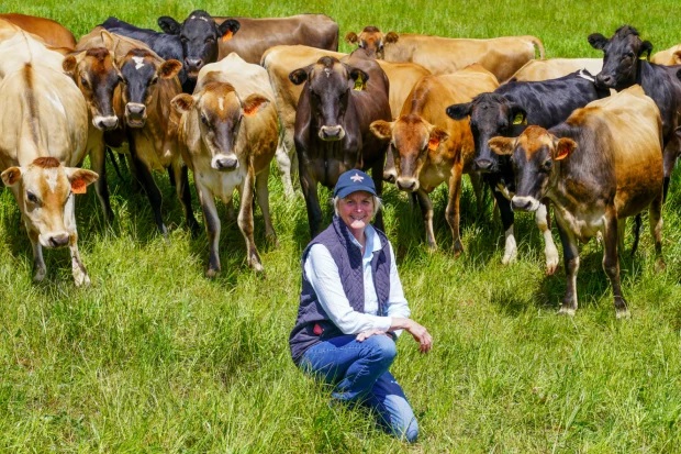 Dairy fund on track for 12pc return after buying Tassie farm