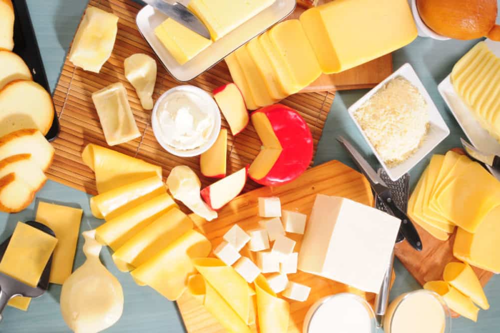 Dairy market research identifies cheese as an industry leader