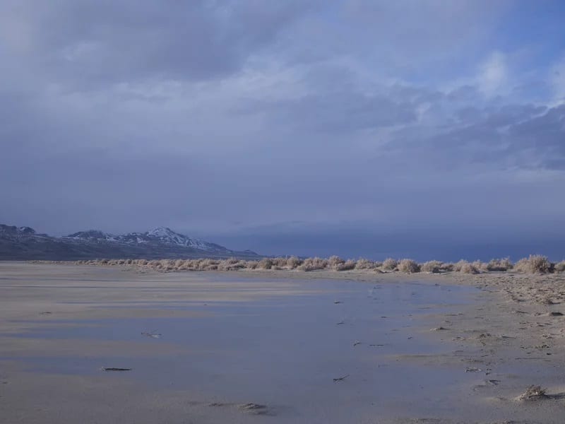 Farmers accused of drying up the imperiled Great Salt Lake say they can help save it