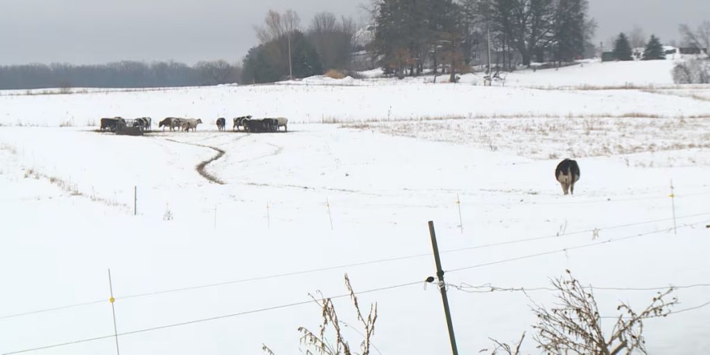 Farmers welcome snow falls as they deal with months of drought conditions