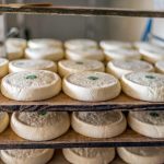 Raw milk Reblochon cheese. Credit: Pierre Longnus/Getty Images