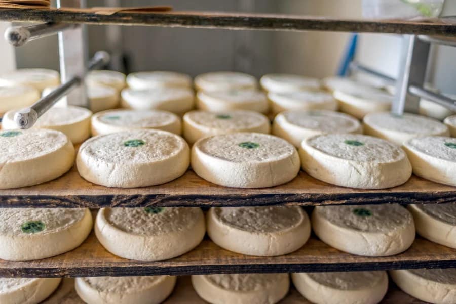 Raw milk Reblochon cheese. Credit: Pierre Longnus/Getty Images