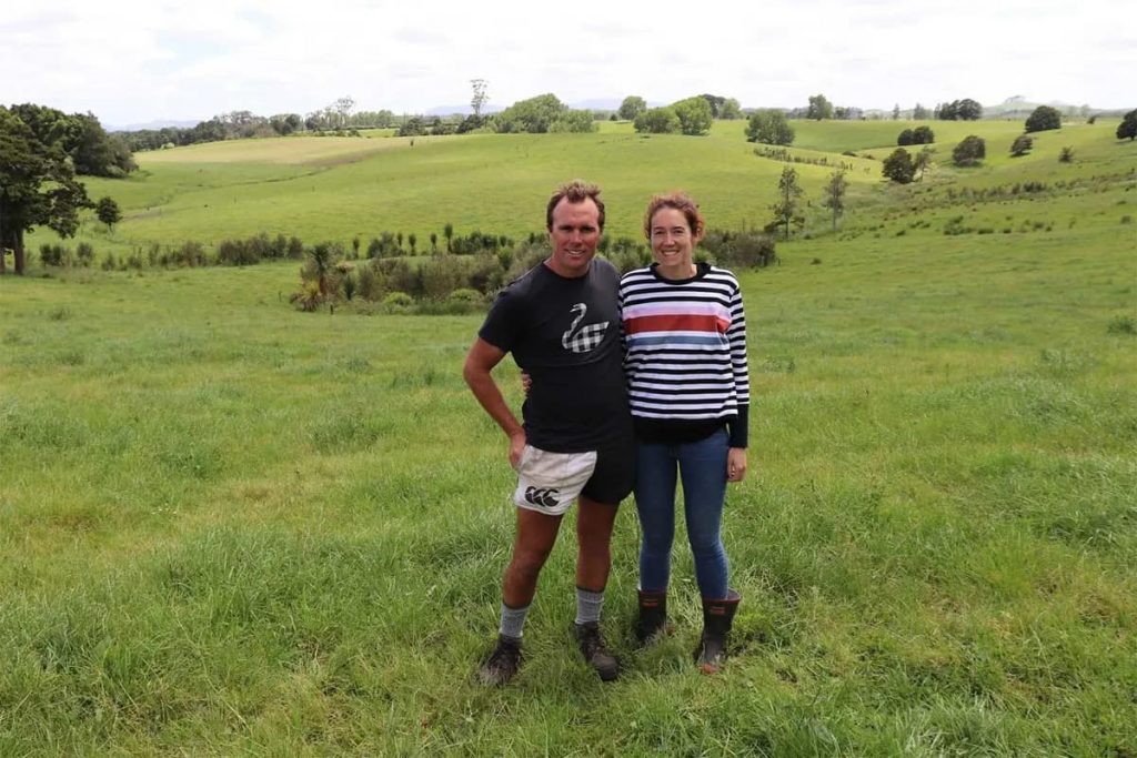 Kiwi dairy farmers help increase native wildlife numbers