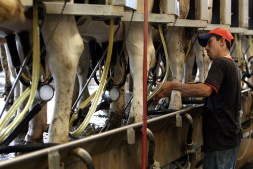 Low demand hurting dairy so far in 2024