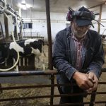 Maine farmers affected by PFAS contamination can now apply for state aid