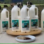 Milk from cows that burp less is better for the environment. Would you pay slightly more for it