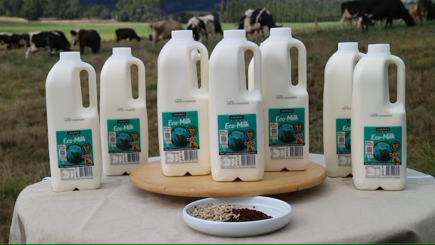 Milk from cows that burp less is better for the environment. Would you pay slightly more for it