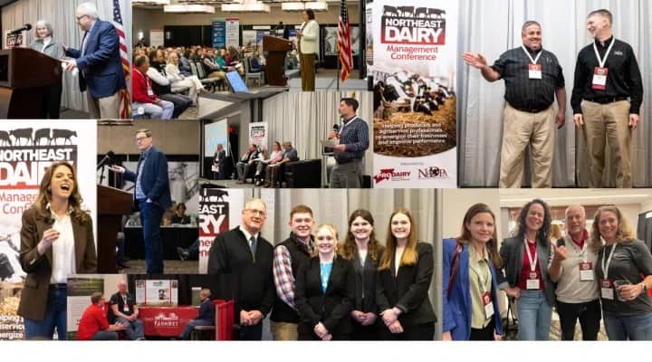 Northeast Dairy Management Conference