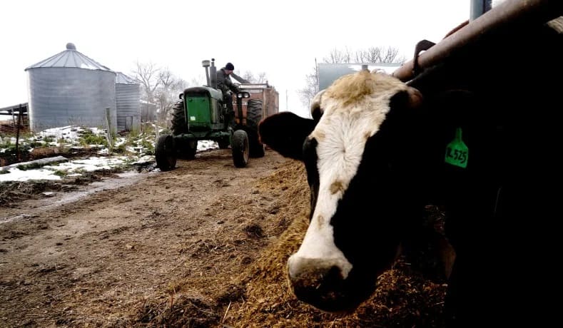 Oregon’s Government and Dairy Industry Join Forces against Small Farmers