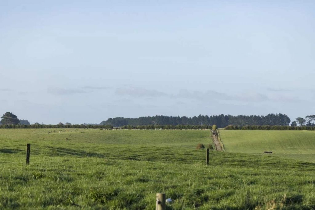 Pasture planning tips from the experts