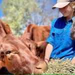 Queensland teen Matilda Herron uses life savings to preserve late neighbour's cattle breeding legacy