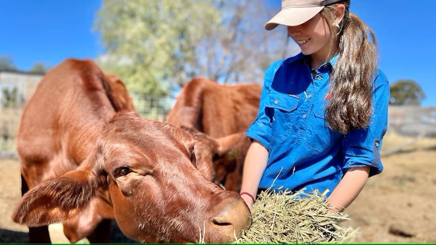 Queensland teen Matilda Herron uses life savings to preserve late neighbour's cattle breeding legacy