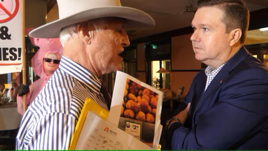 Senate supermarket prices inquiry in Orange hears fruit farmers are giving up as pollies squabble on the side