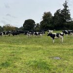 Some co-ops ‘trailing along’ in Milk Price Tracker – ICMSA