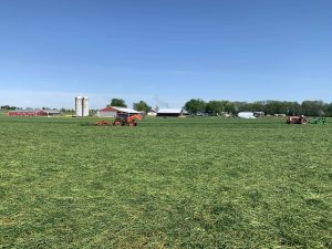 The Dairy Alliance Celebrates Female Farmers This March1