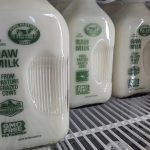 The raw milk business is booming Central PA. What exactly is it - and is it safe to drink