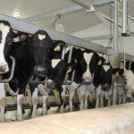 USDA adds new rules under the Packers and Stockyards Act