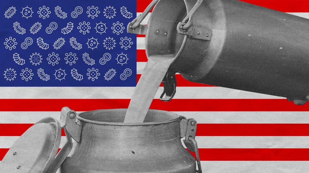 Unpasteurised milk and the American right