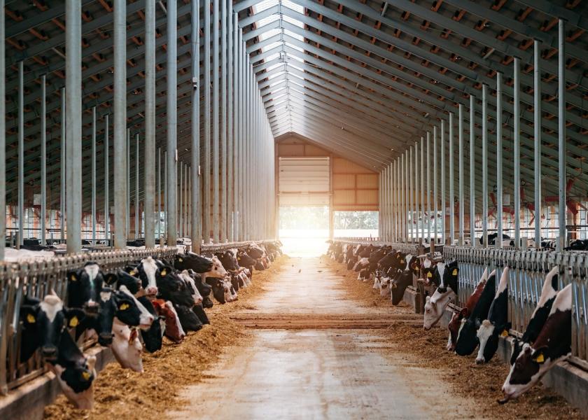Will Milk Prices Rebound 8 Important Market Signals to Watch