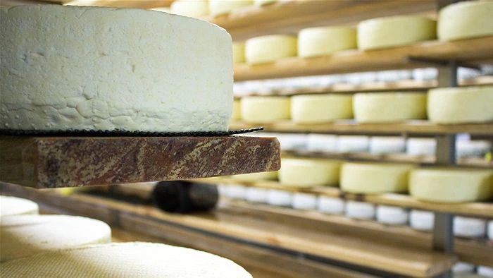 Australian cheese eaters turn to artisanal, vegan varieties as price of cheddar hits two-year high