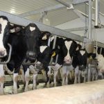 Biosecurity kits available for Pennsylvania dairy farmers