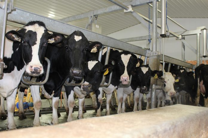 Biosecurity kits available for Pennsylvania dairy farmers
