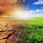 Climate-change-disease-outlook-foretold