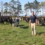 Confirming the benefits of cow wearables