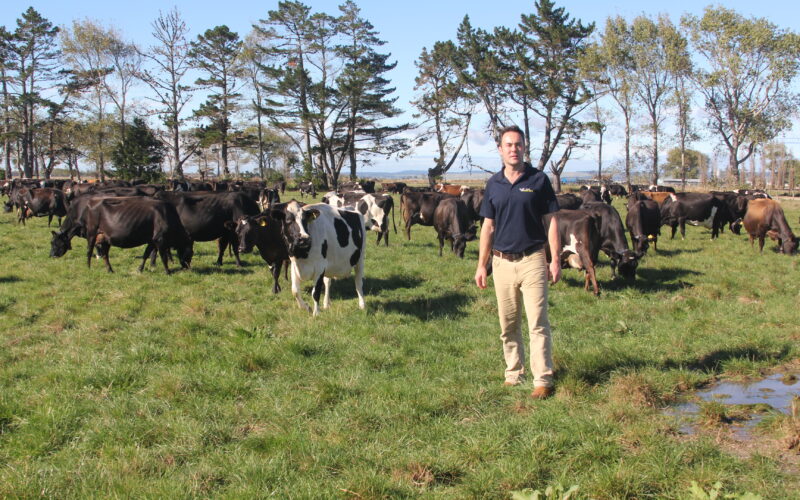 Confirming the benefits of cow wearables