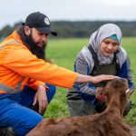 Dairy farmer cops huge fine for exploiting staff