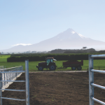 Dairy platform cap underpins land values