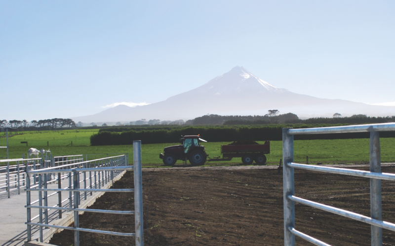 Dairy platform cap underpins land values