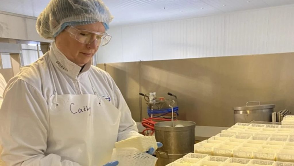 Cathy Lang, a Fonterra cheesemaker, has been nominated for the 2024 Champion Cheesemaker award. SUPPLIED